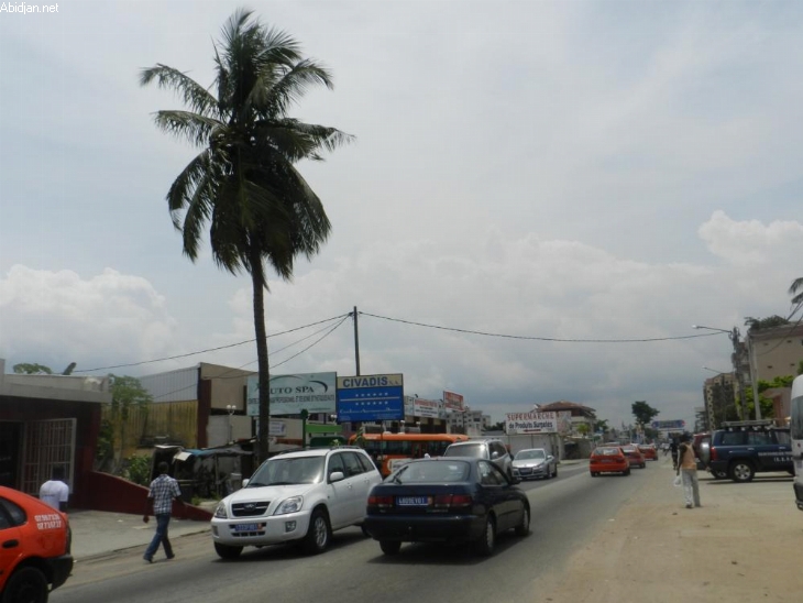 District d’Abidjan / Jardin botanique de Koumassi : Deux barons du Pdci cèdent 3 ha à un promoteur immobilier
